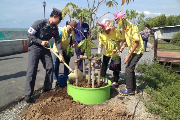 โครงการปลูกดอกดาวเรืองเทิดพระเกียรติฯ เพื่อเป็นการเตรียมความพร้อมและสนับสนุนในการจัดงานพระราชพิธีถวายพระเพลิงพระบรมศพ